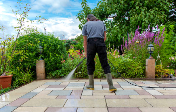 Animal Enclosure Cleaning in Atherton, CA